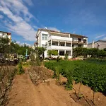 Grgo Vodice